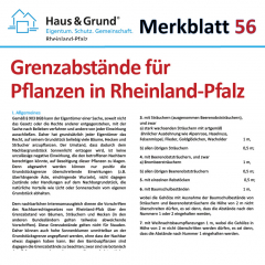 Merkblatt: Grenzabstände für Pflanzen (in Rheinland-Pfalz)